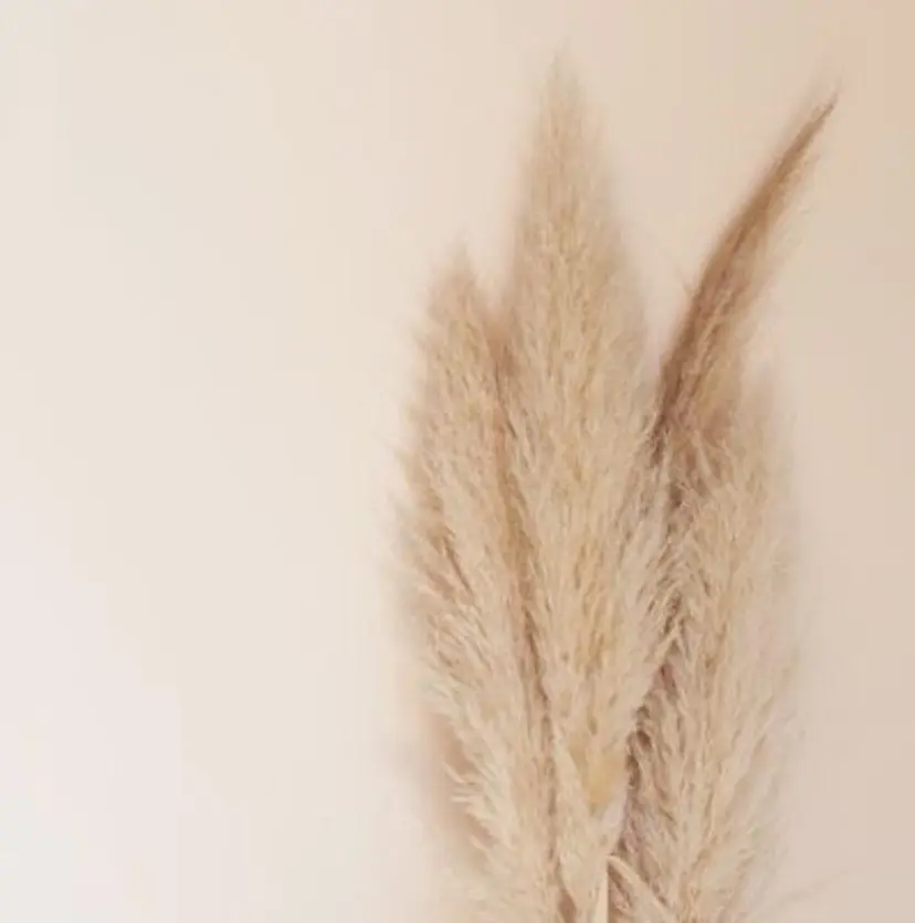 eyelist rie.の掲載