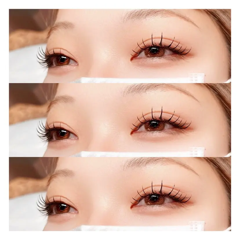 Lily 🩵 chiakiの掲載