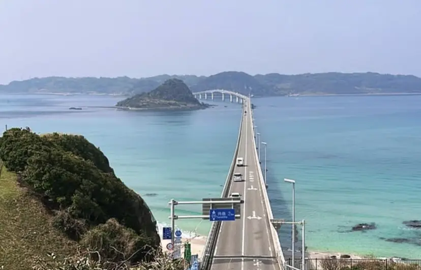 梶上 有紗の掲載