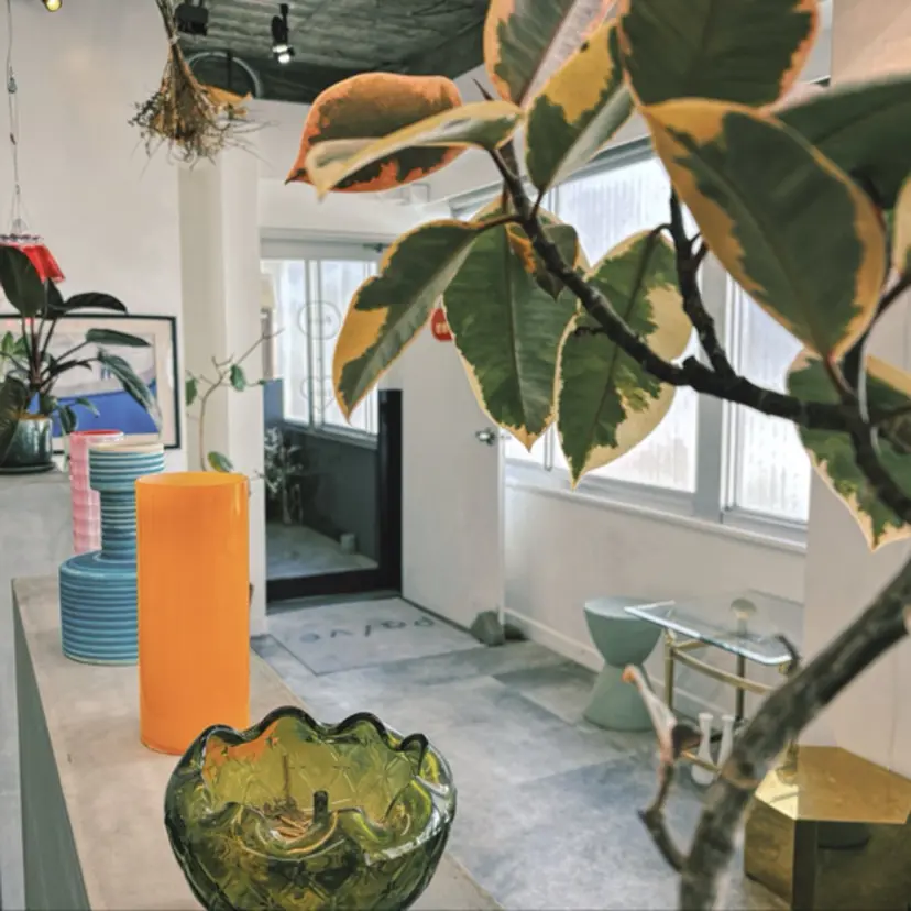 金森 隼士の掲載