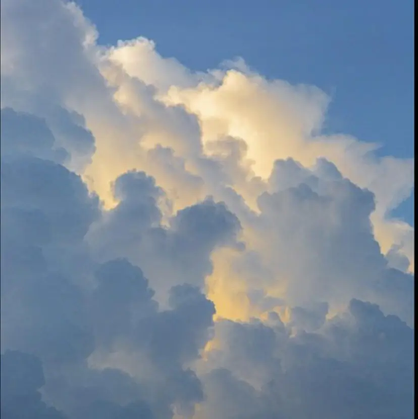 🫧美髪育成美容師 WASHIZU🫧の掲載