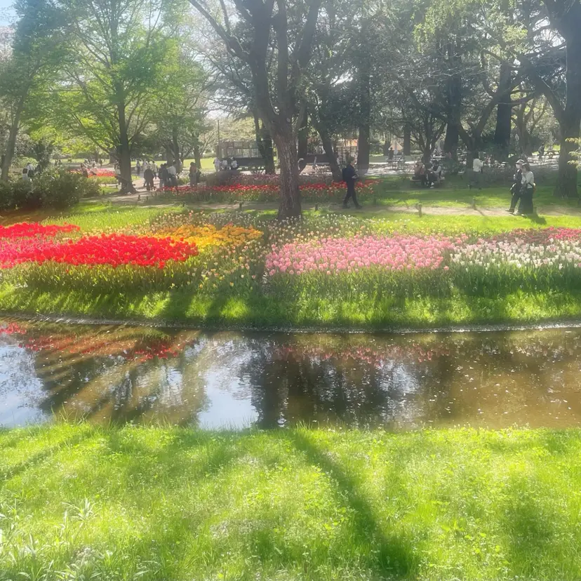 ハシモト 🎀🪄の掲載