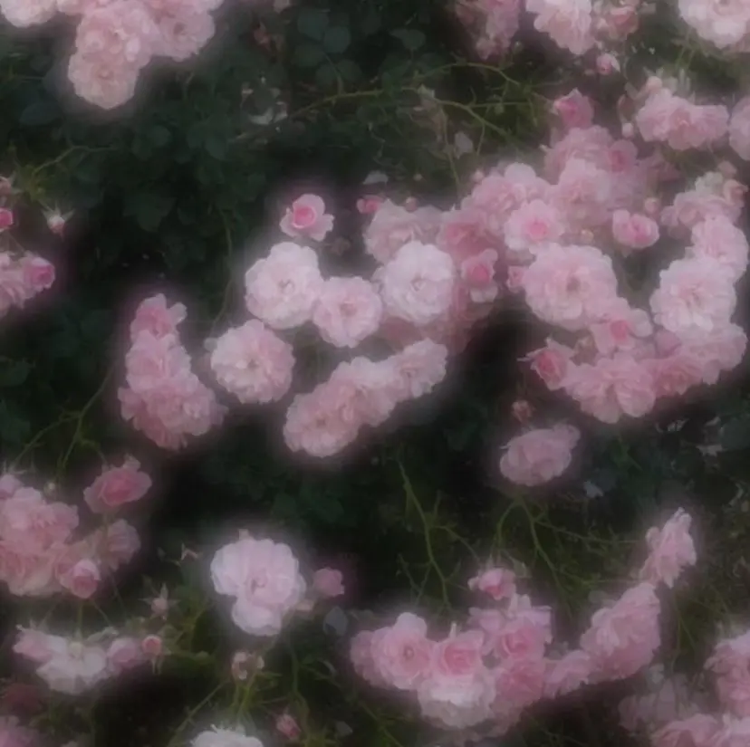 加藤花珠 /美容室の掲載