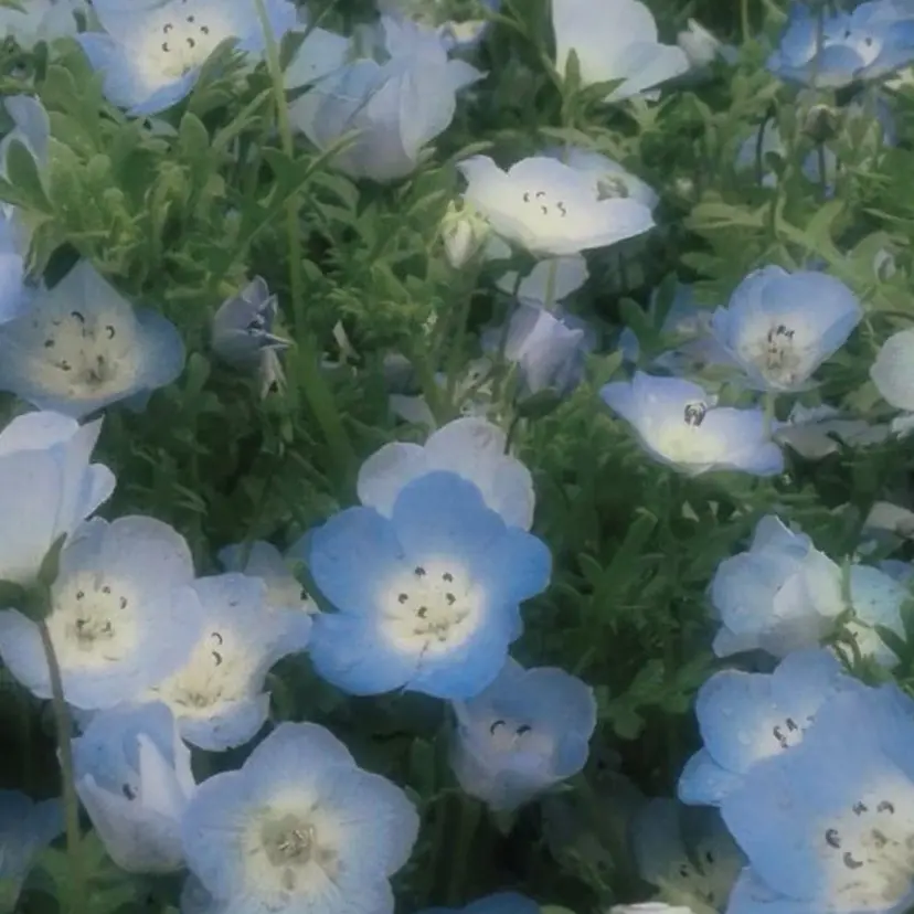 🦋水上 梨美🦋の掲載