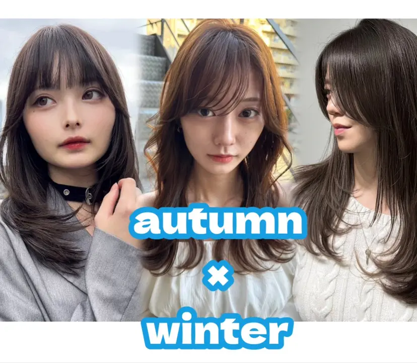 🫧髪質改善•ボブ/ レイヤー🫧持田樹の掲載