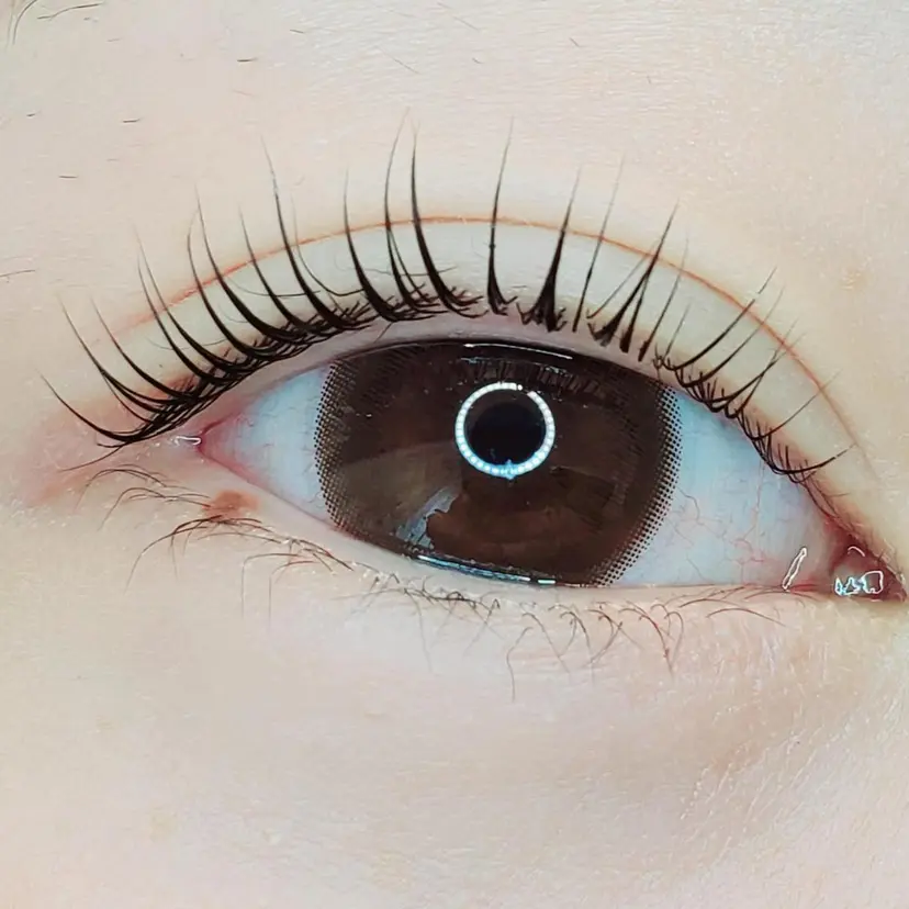 セレビアイ/ ISHIIの掲載