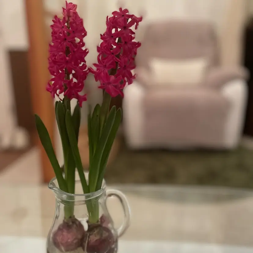 石原 直美の掲載