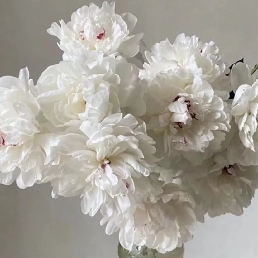 hwa 東中野の掲載