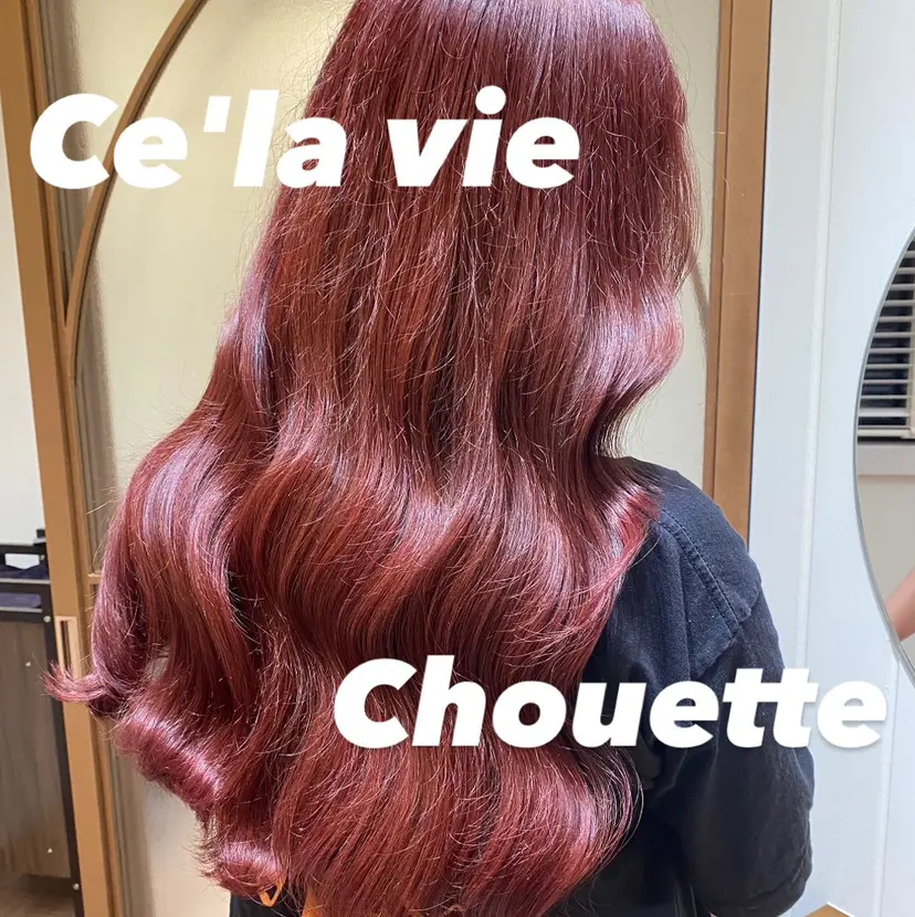 石毛 ひかるの掲載