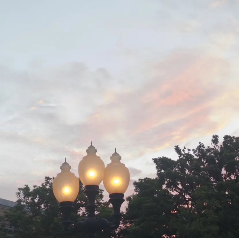 Luce川崎 クロサワの掲載