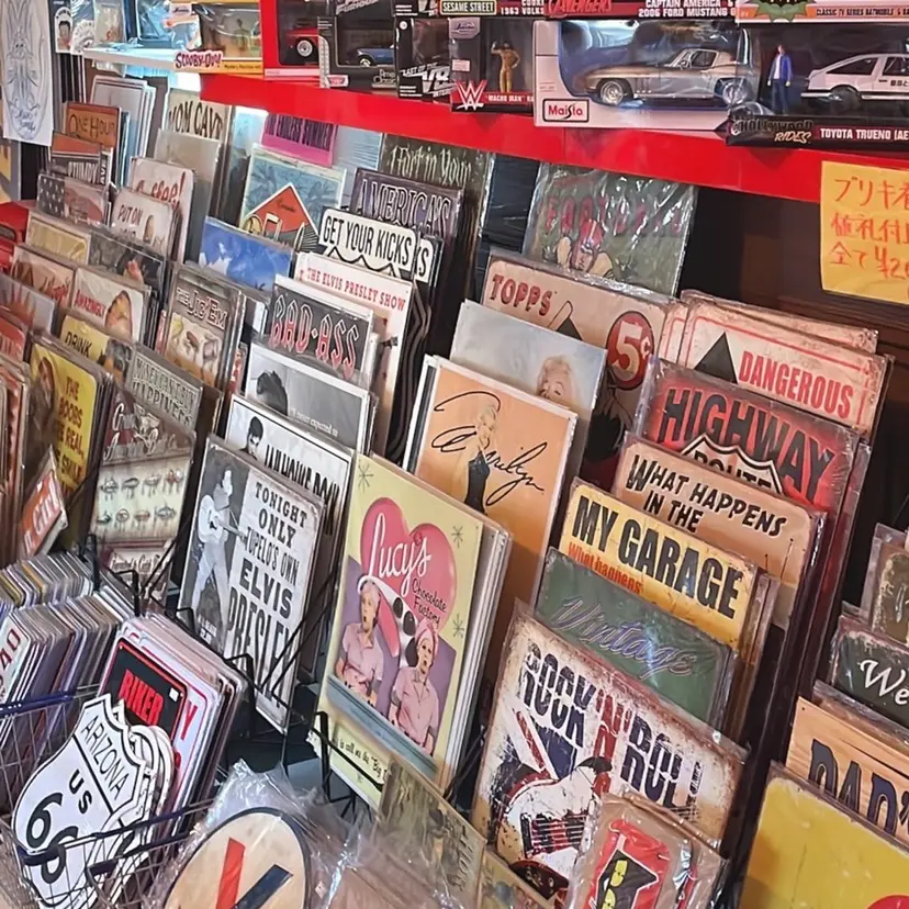 森山 朝陽の掲載