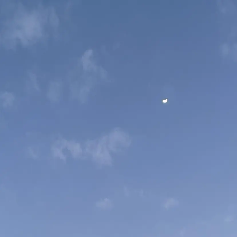 新地 咲綾の掲載