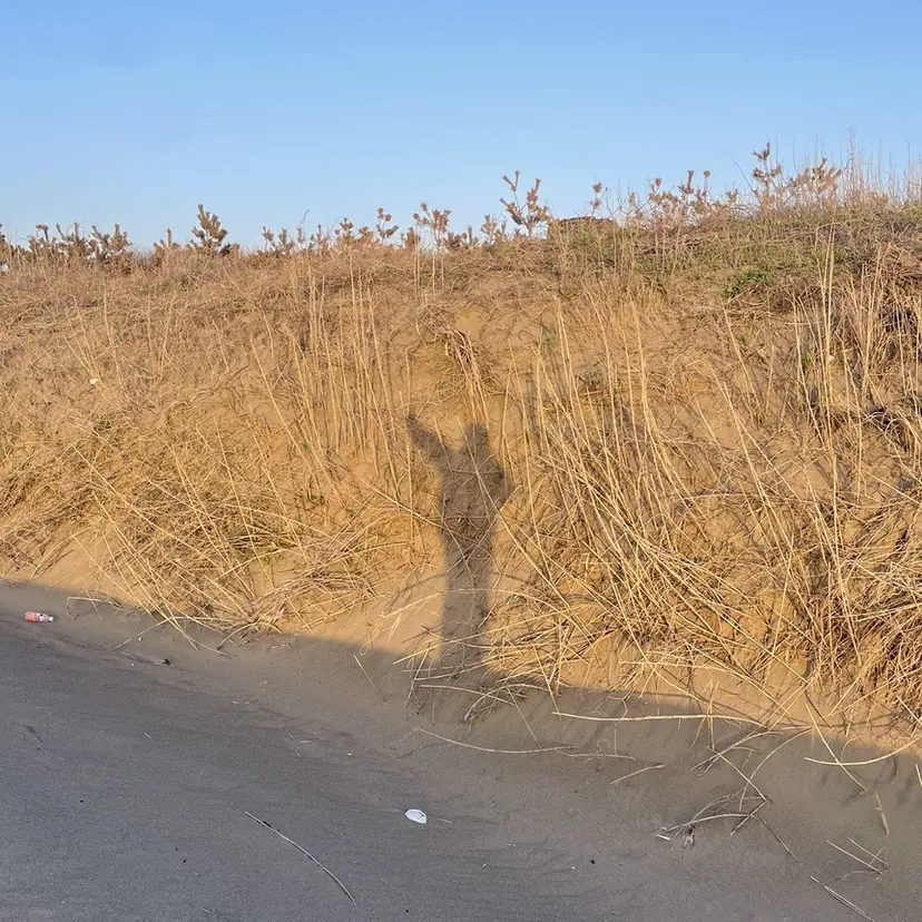 松崎 真衣の掲載