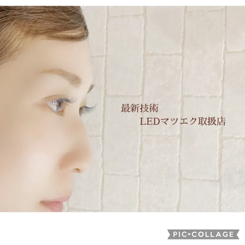 持田 絵海の掲載