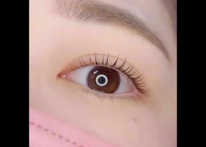 スイープジュニパー 岡崎店の掲載