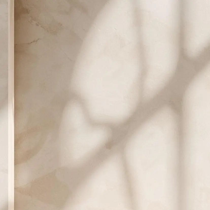 nozomi 2月受付中の掲載