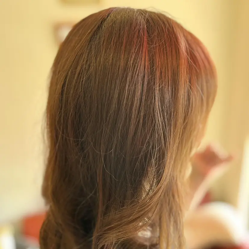 織田 英之の掲載