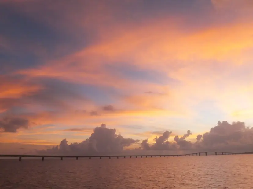 小野澤 紗智の掲載