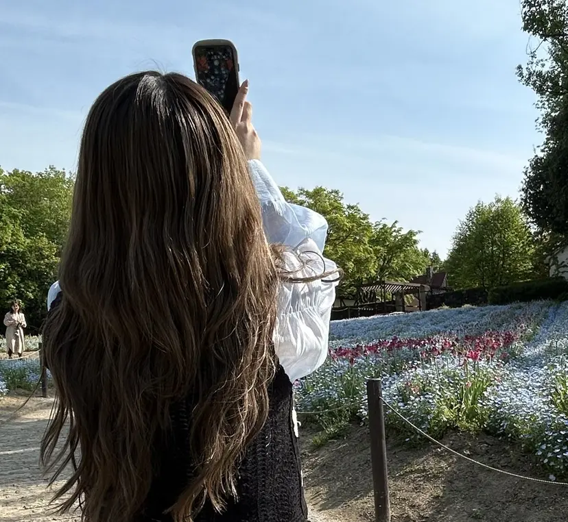 田中 きららの掲載