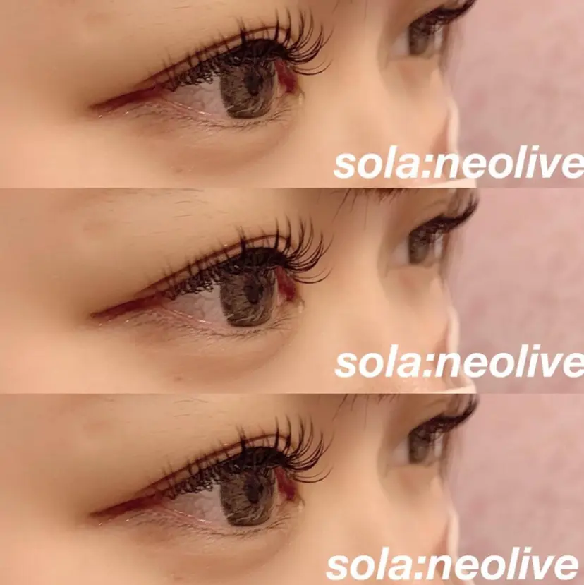 sola: neolive山崎の掲載