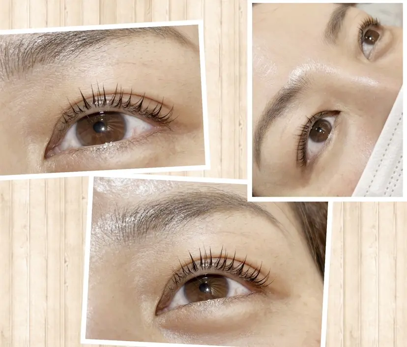 田中 貴子の掲載