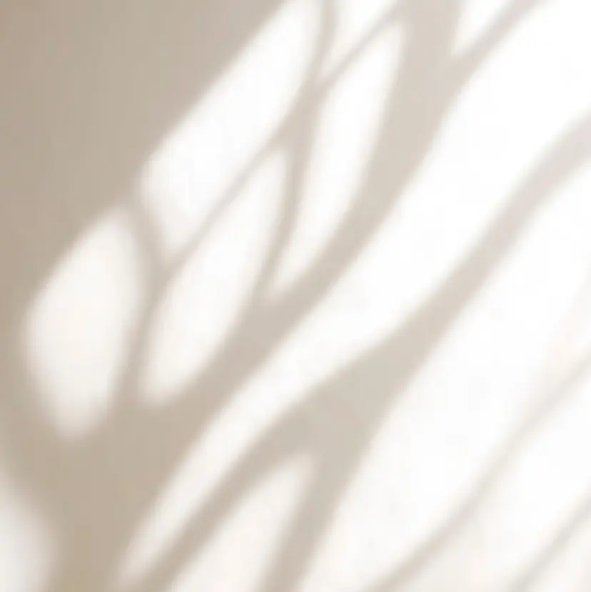 内海 一夏の掲載