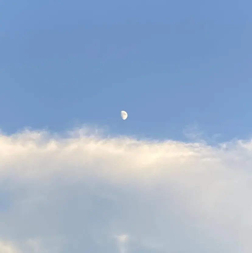 ウプ🦋marina takeuchiの掲載