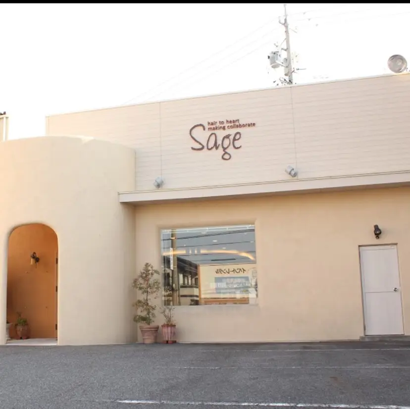 sage 井上の掲載