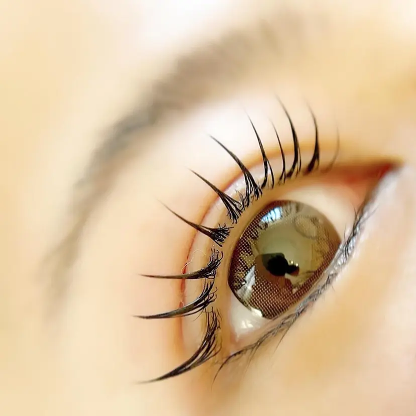 瑞江 しゅぷうるの掲載