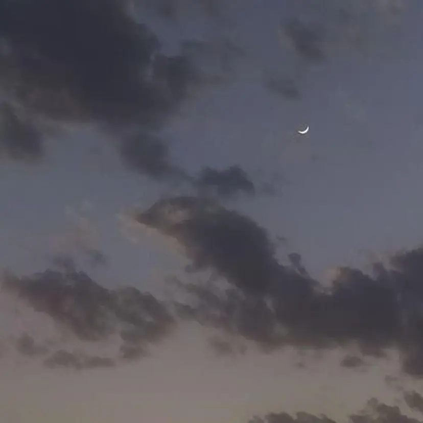 Junks 🌙TAMAKI🌙の掲載