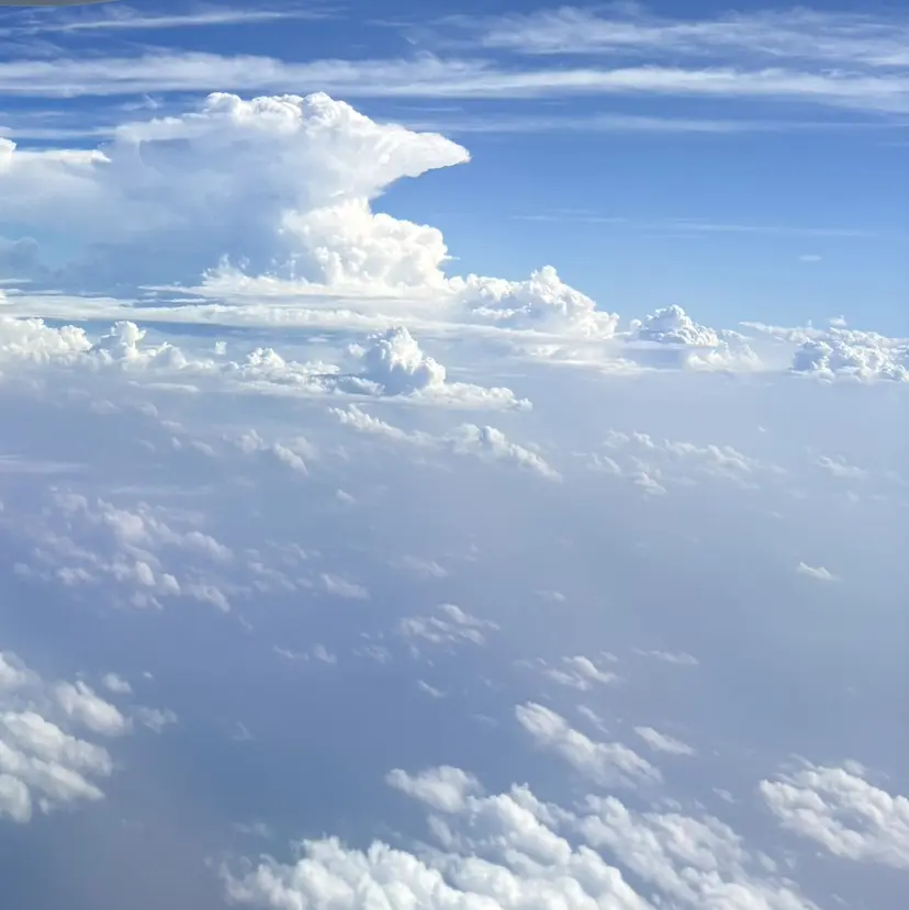 hipahipa! MOEの掲載