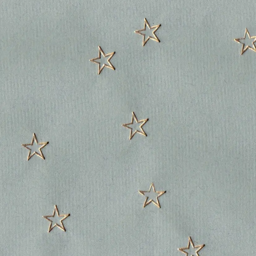 lomalia ayuの掲載