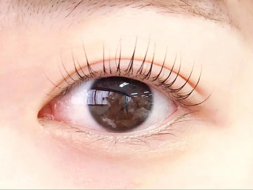 ルシードスタイル アイラッシュの掲載