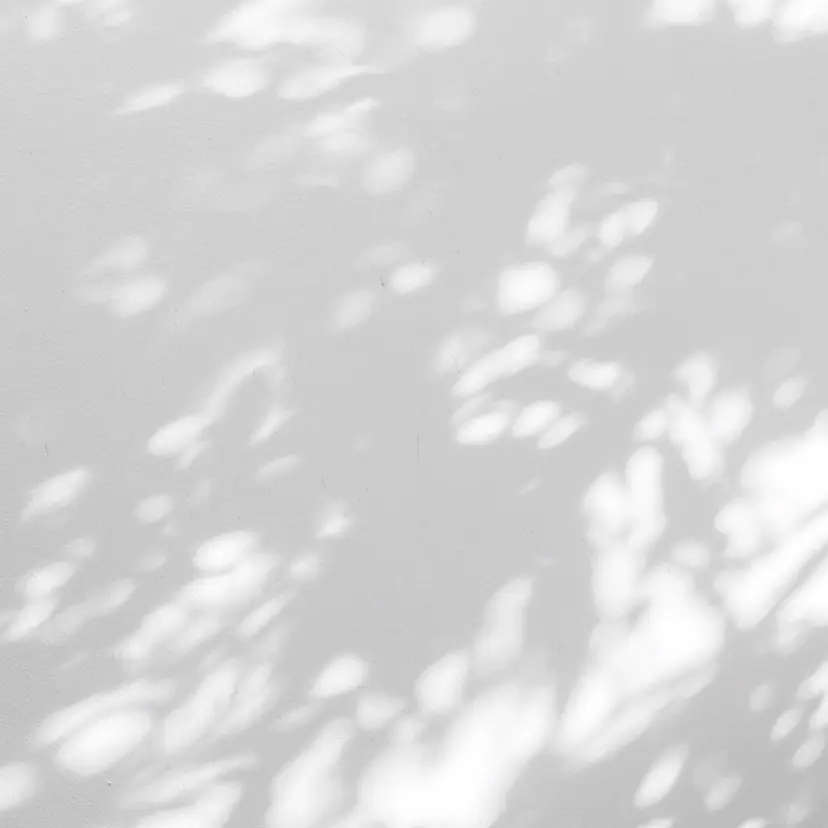 香取 拓海の掲載