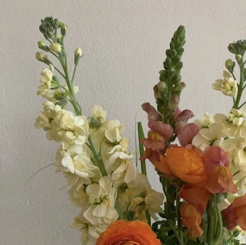 foret yurikoの掲載