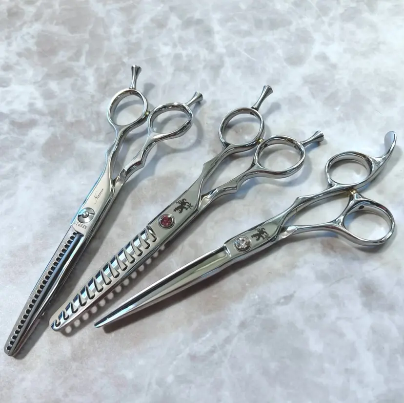 八木 菜美の掲載