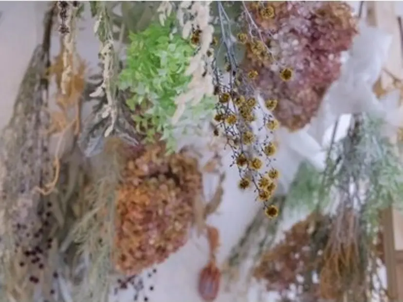 いいだなお/ 透明感カラー🫧🌼の掲載