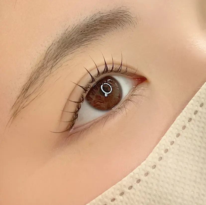 Lily Eyelashの掲載
