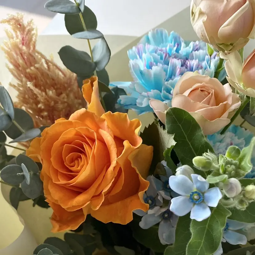 Lien カレンの掲載