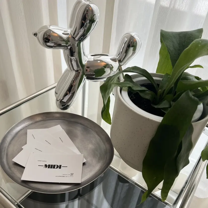 坂野 ほのかの掲載