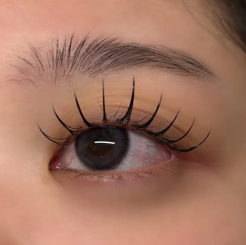 lumier juriaの掲載