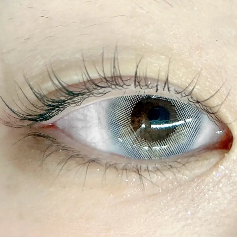 シルエット 有田の掲載