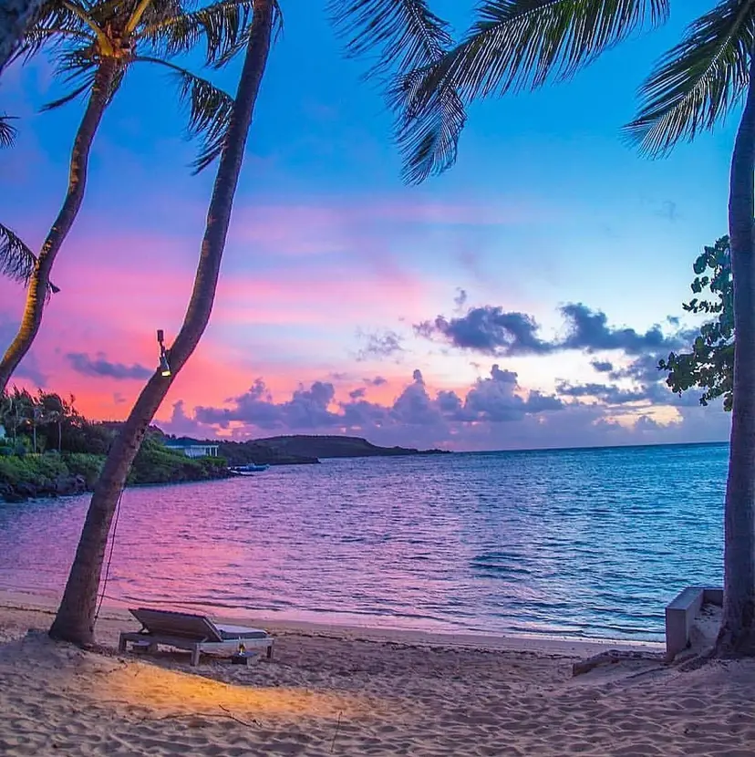 ヤマザキ リナの掲載