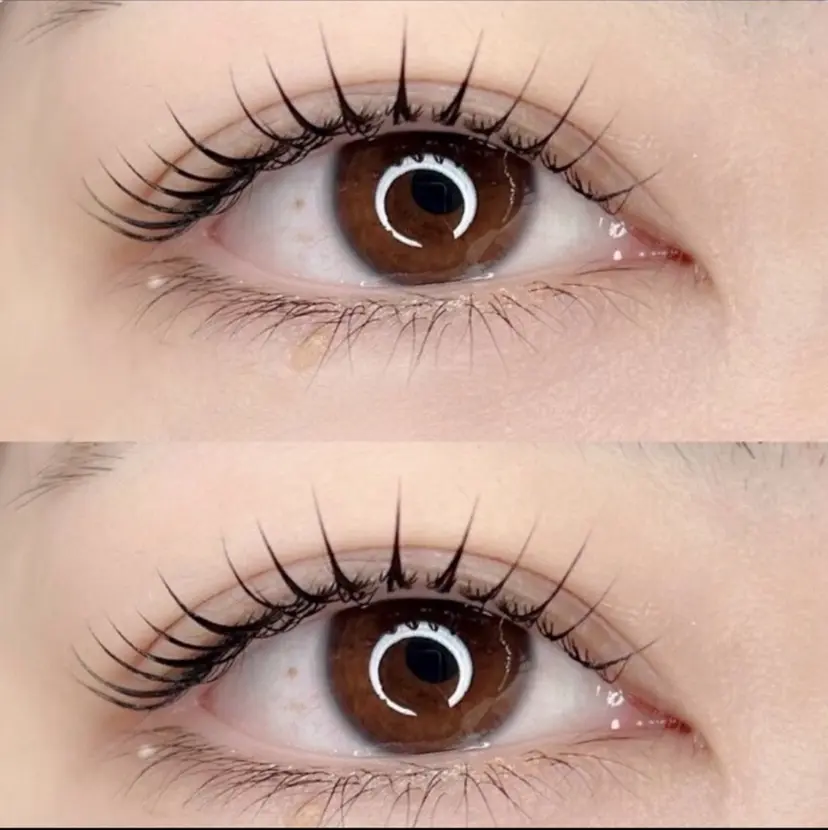 河野 那穂の掲載