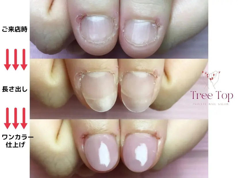 nailsalon Tree Topの掲載