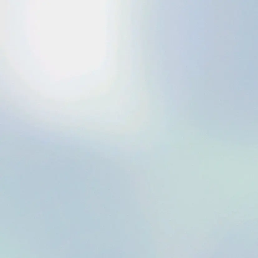 🌿‬natural color🌼チサの掲載