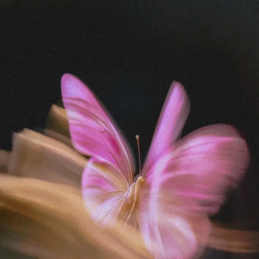 atelier design Amiの掲載