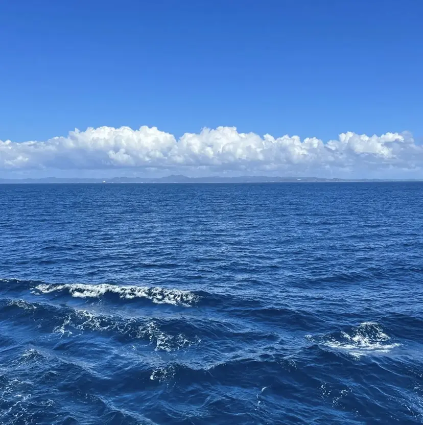蒔田爽真 （マキタソウマ）の掲載