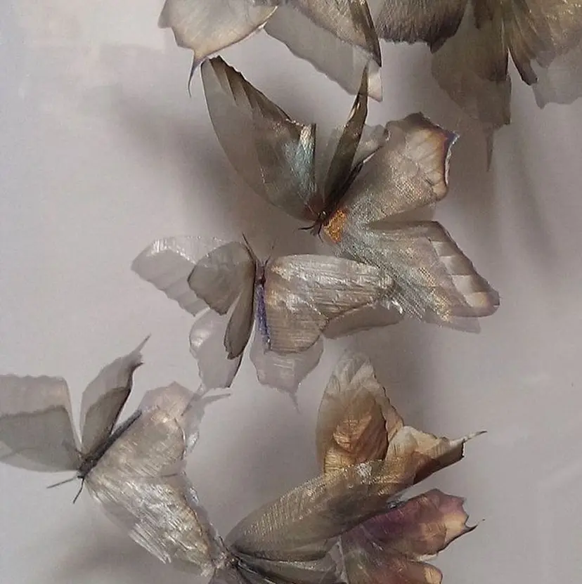 Momoka /恵比寿の掲載