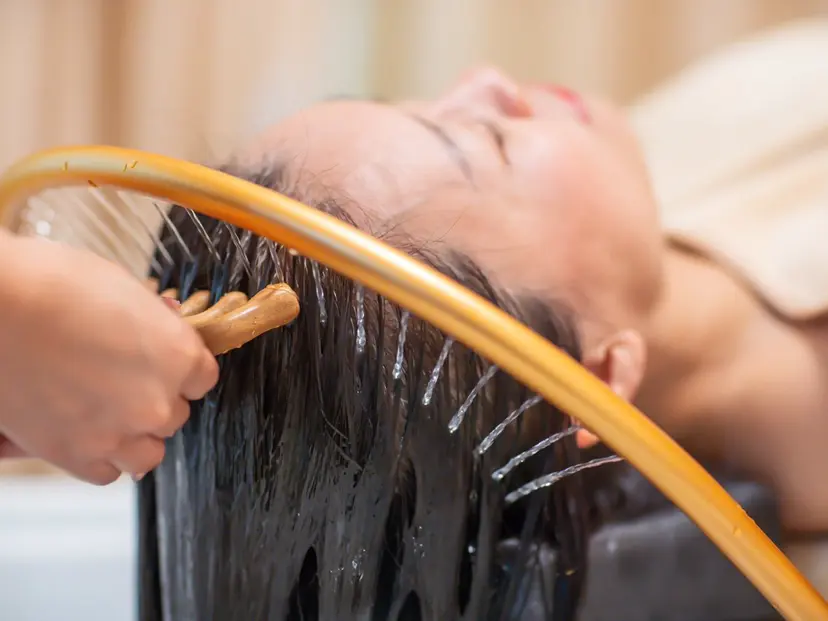 モトイ ヒトミの掲載